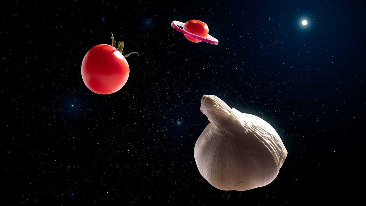 宇宙に浮かぶ野菜